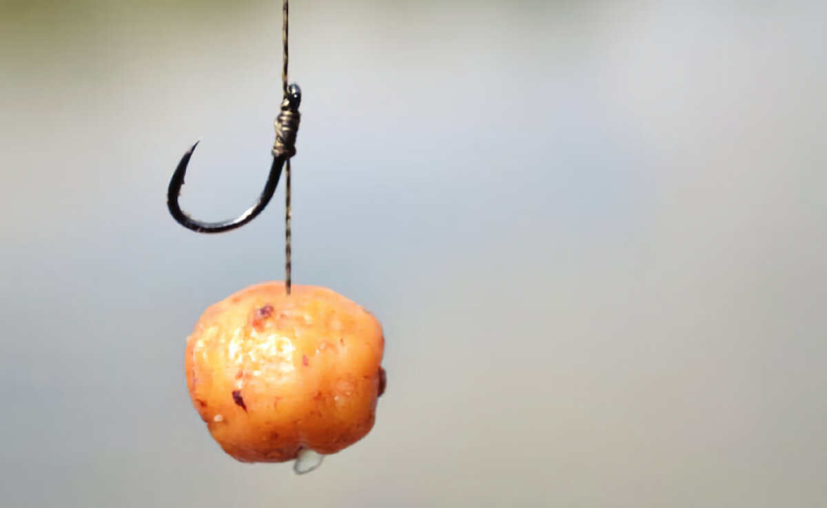 сазан на бойлы снасть. оснастка на карпа бойл. его ловят на бойлы 4 буквы. его ловят на бойлы 4 буквы. ловля сазана на бойлы.