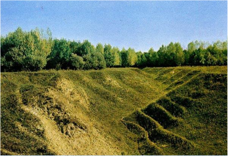 Кусты оврагов. Облесение оврагов. Холмы брянской области. Природа россии овраг ручей. Овраг блюменталь.