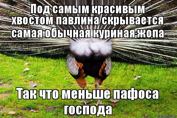 вывод