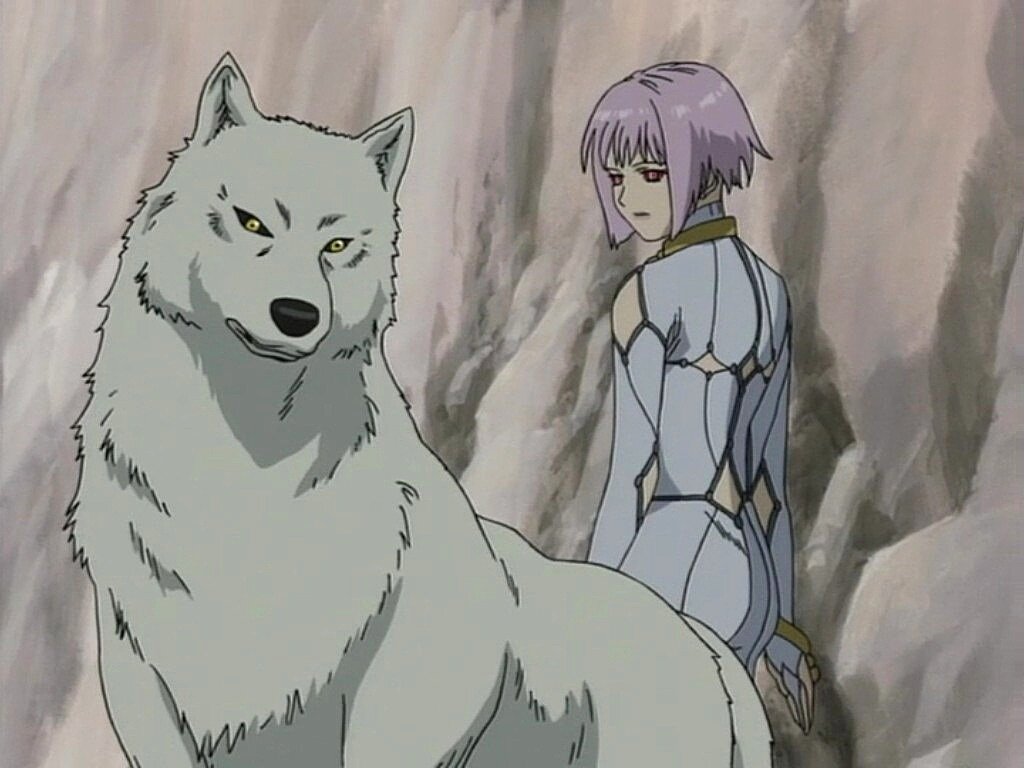 Волчий дождь