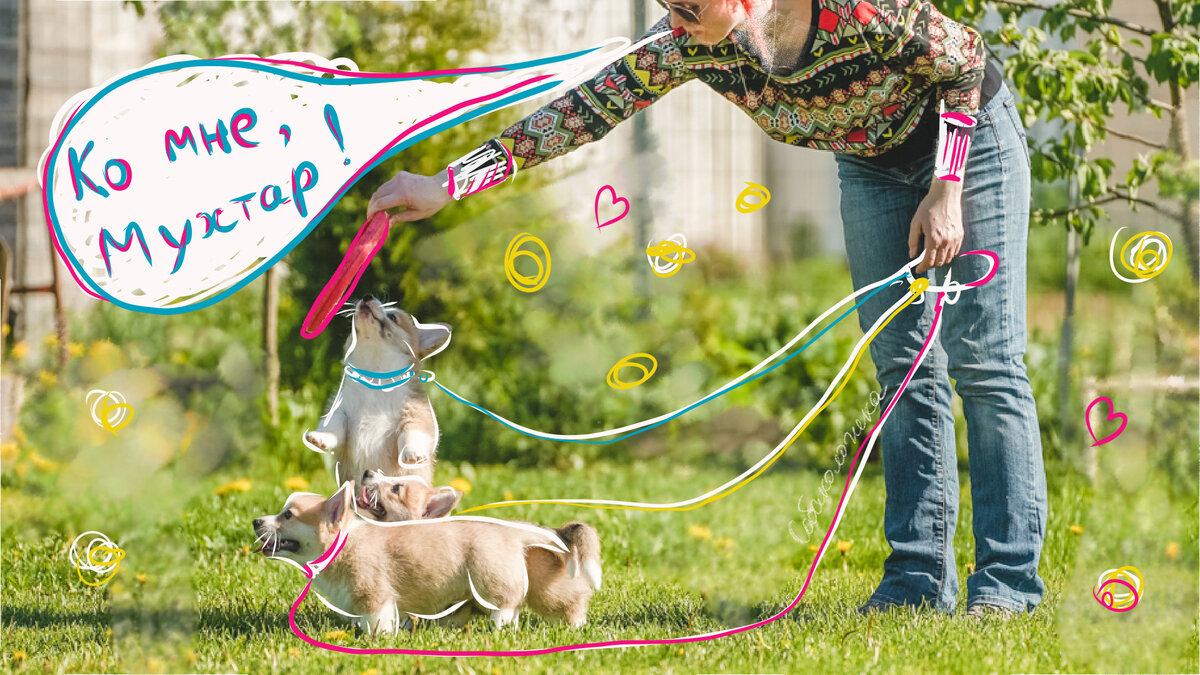 Фото автора