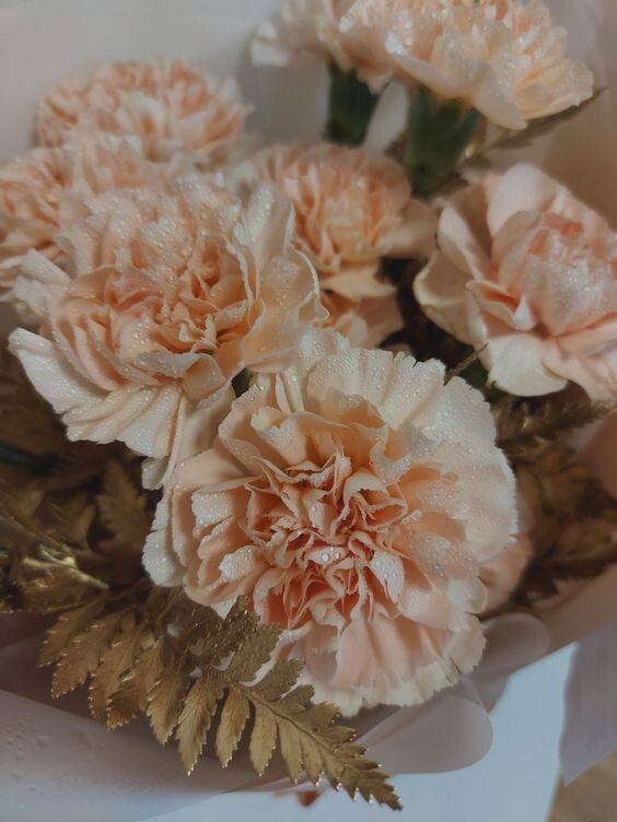 Картинка взята из Пинтереста и находится в открытом доступе.