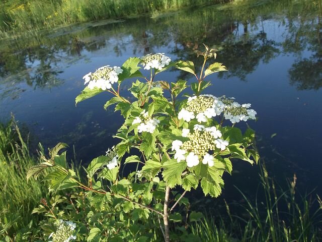 Источник фото: https://www.chitalnya.ru/work/2051463/