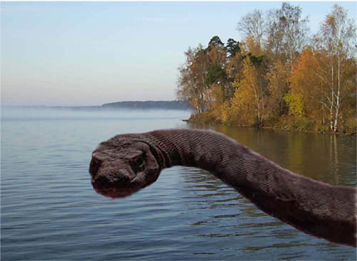 Бывает речным. Озеро Бросно чудовище. Ладожское озеро Лохнесское чудовище. Несси Лохнесское чудовище. Тайна озера Лохнесс.