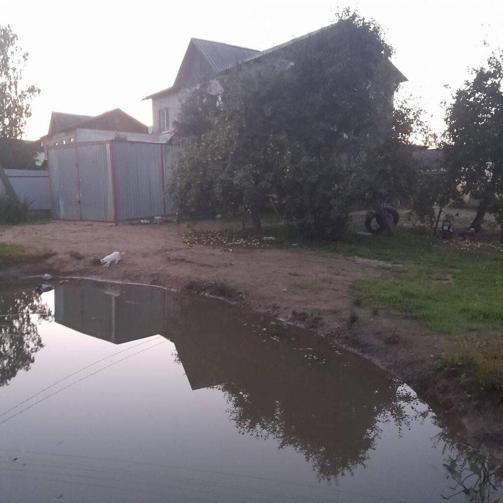 В Тверской области СК выясняет, кто виновен в беде с ребенком на воде