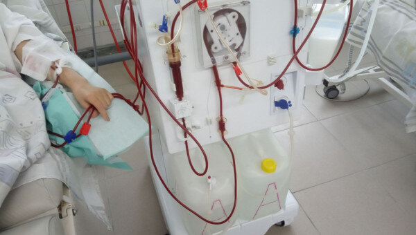 фото: Altapress.ru.