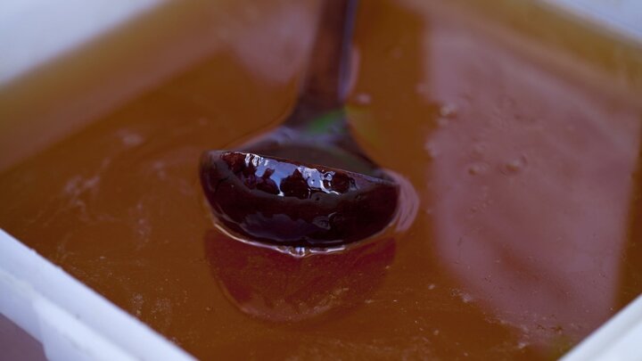 ФОТО: ANDREY ARKUSHA/RUSSIAN LOOK/GLOBALLOOKPRESS 