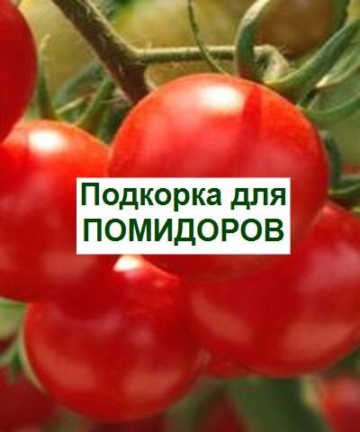 подкормка помидоров
