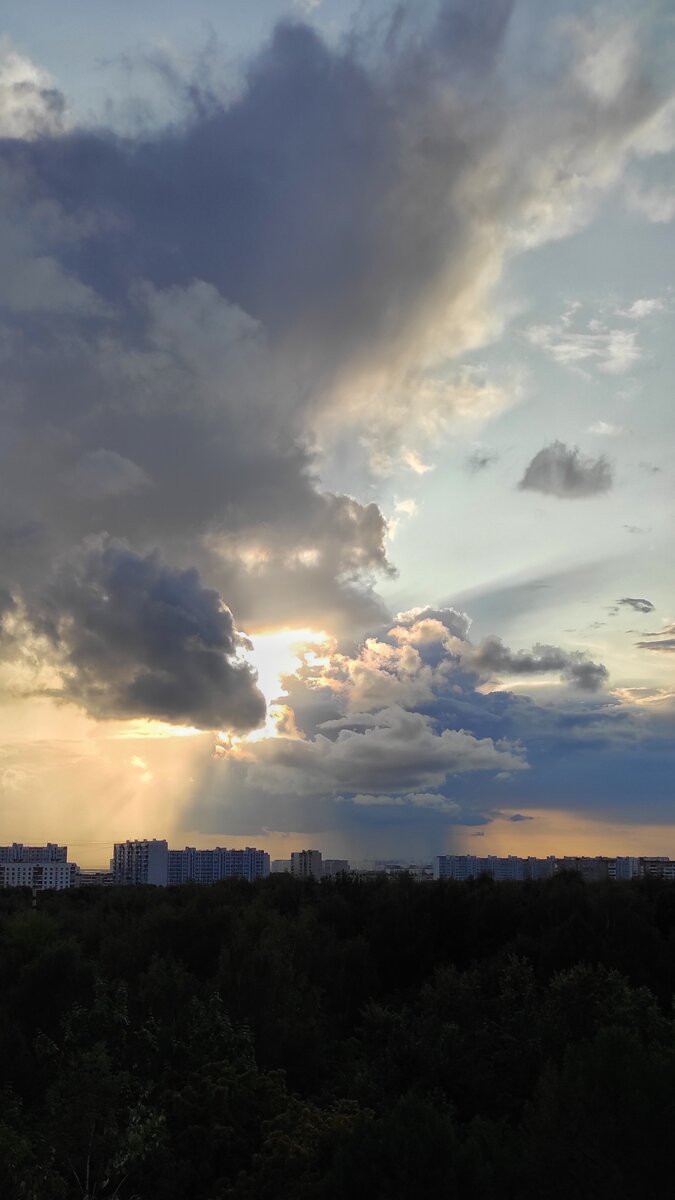 Видите птицу? 