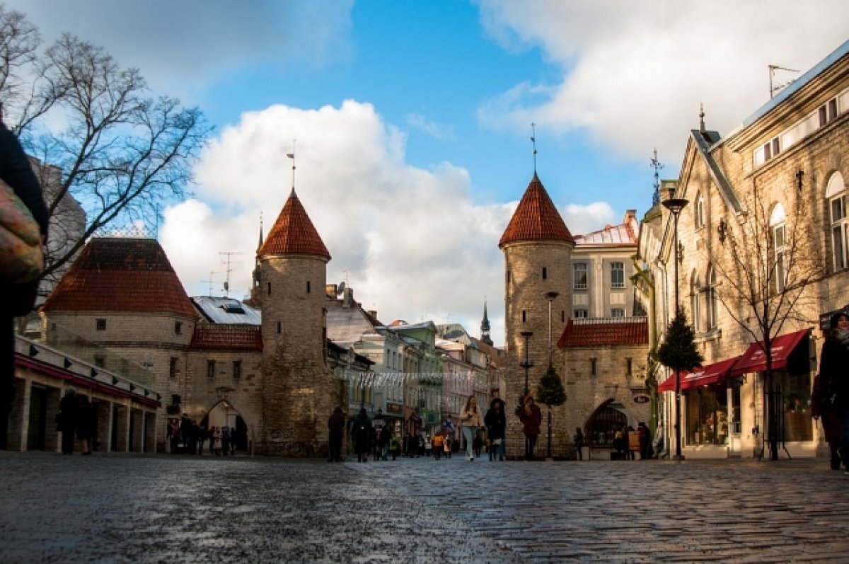    Власти Эстонии попросили молодежь не уезжать в Россию