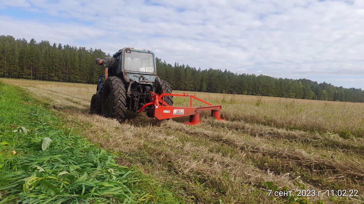 Ежедневное, ячменно перцевое | Валентина Щипова. Веселая жизнь в Сибири ...