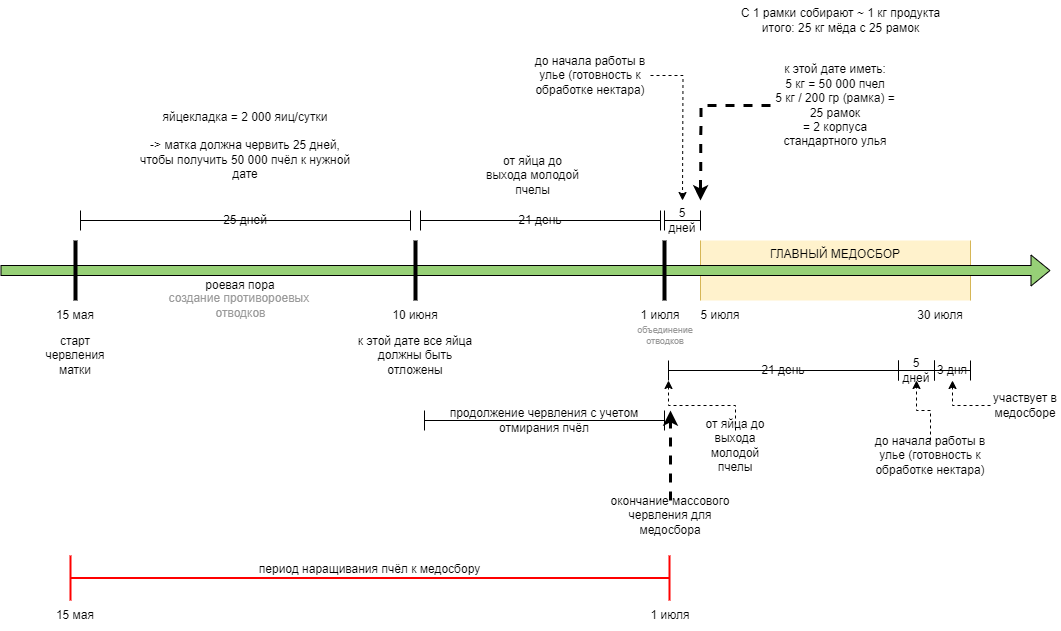 Даты основных пчелиных событий