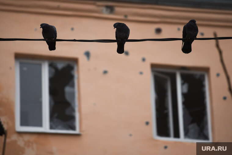    День города в Курске отменили из-за обстрелов ВСУ