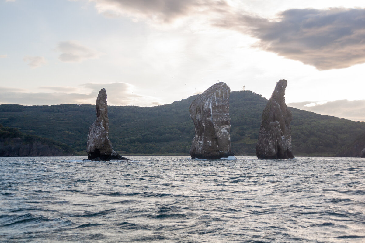 Камчатка. Морская океанская прогулка. Скалы Три Брата.