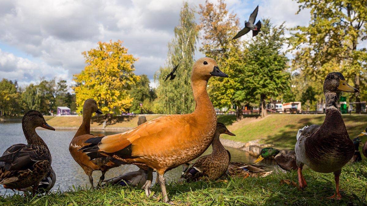    Фото: Александр Авилов / АГН Москва