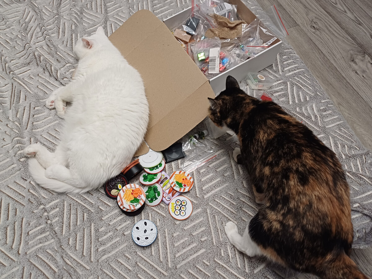 "Мадам, отстаньте от меня!"