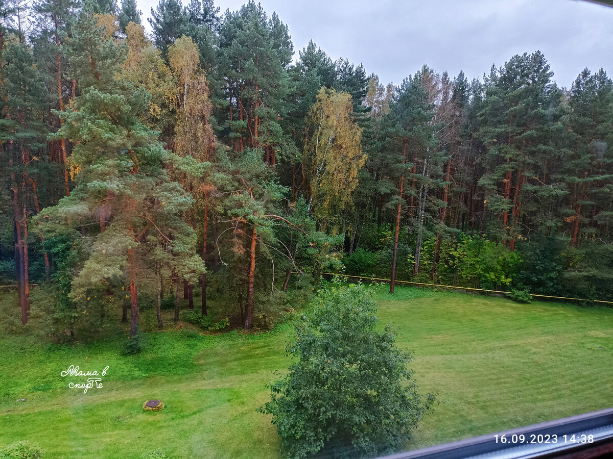 Вид из окна палаты. 