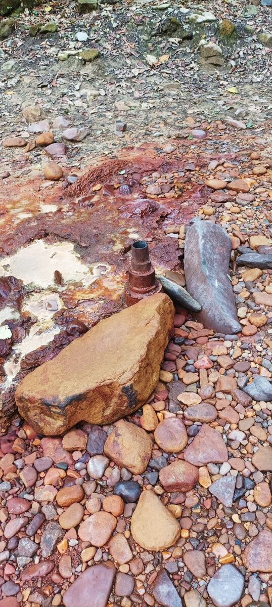 вот где собака зарыта