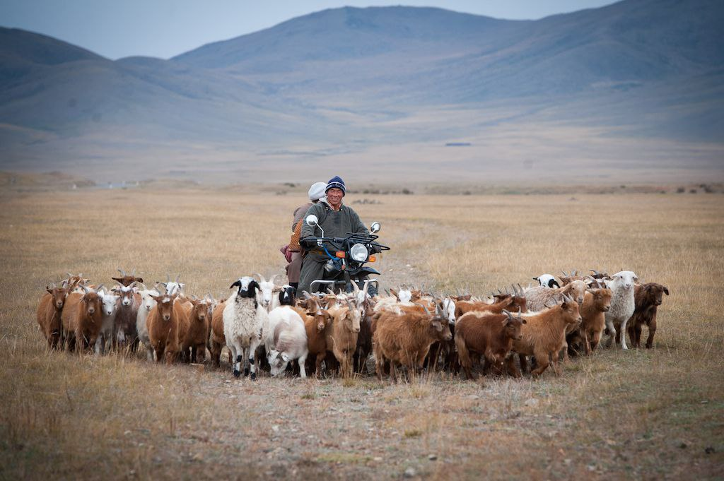 Монголия стоит на пороге очень важного для себя события – уже в этом году страна с большой долей вероятности сможет полностью обеспечить 100 % своих потребностей в пшенице и картофеле.-3
