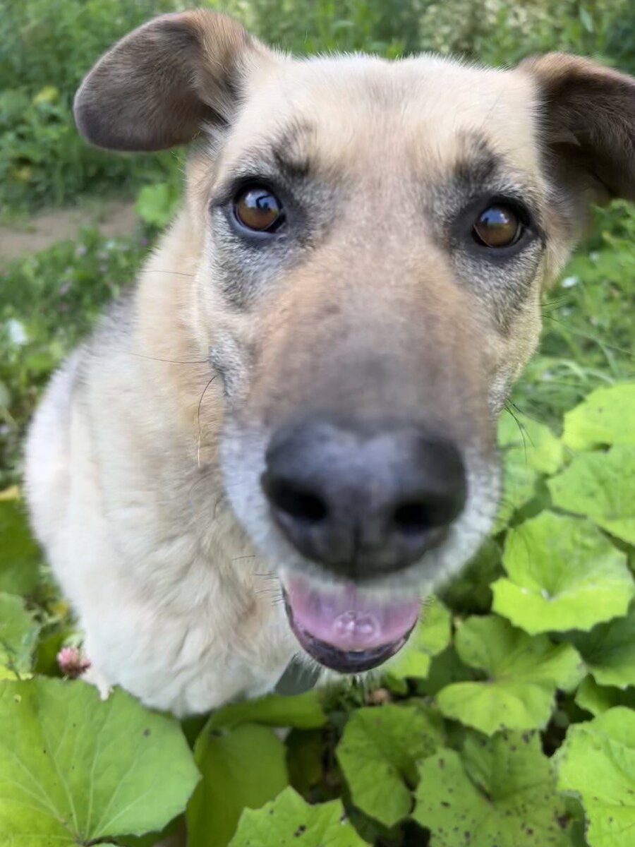 Ах, какое блаженство знать что ты совершенство!