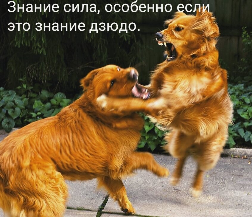 Фото из интернета в обработке автора