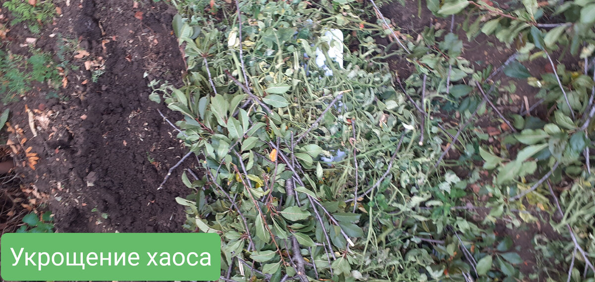 Компостная куча. Слева пока еще ничего не укладывала