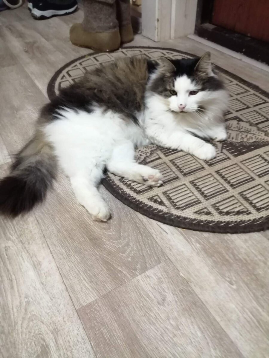 Фото автора.