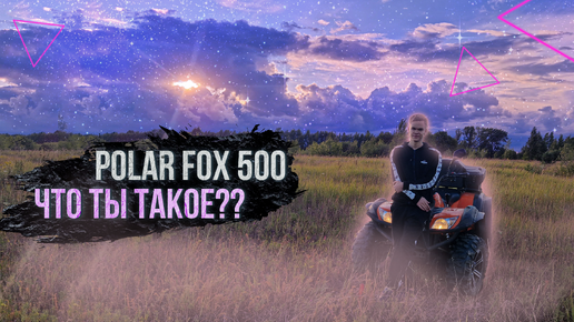 ЧТО ТЫ ТАКОЕ? КВАДРОЦИКЛ POLAR FOX 500. ОБЗОР НА КВАДРИК!