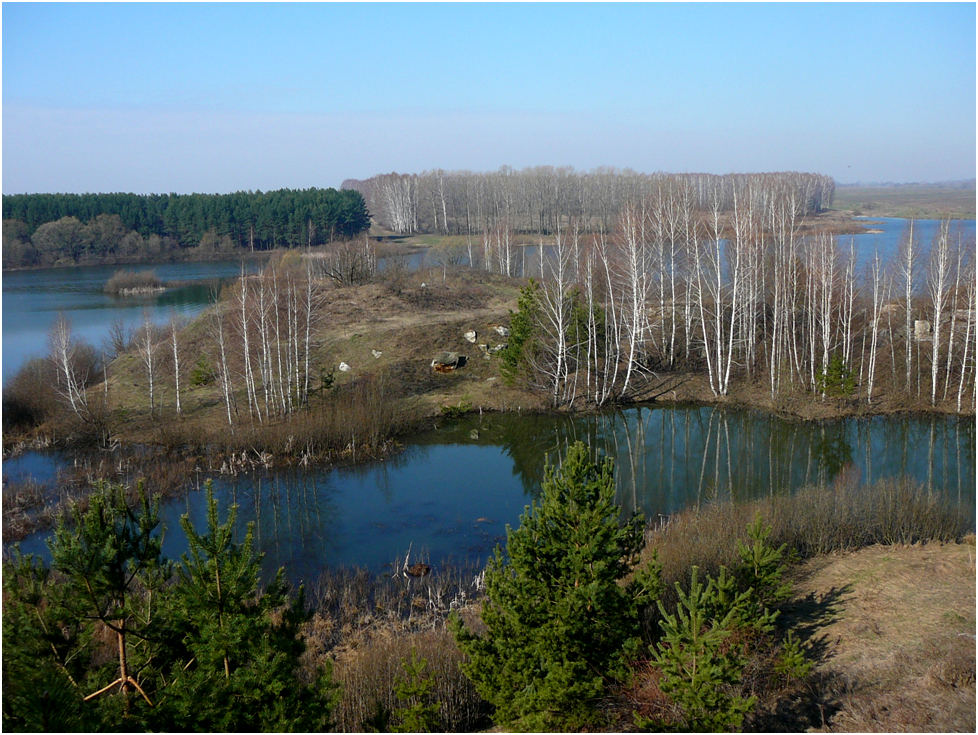 Карьерная техника стояла за сосной березами. 