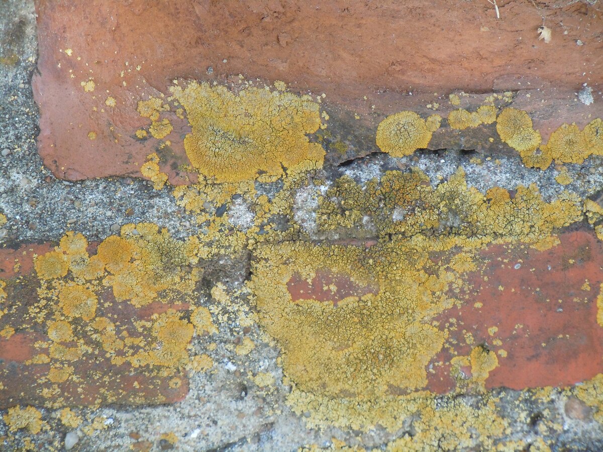 Ну вот, оползень около Северной башни, т. е. рядом с фуникулёром. Фото из репортажа с сайта NN.-22