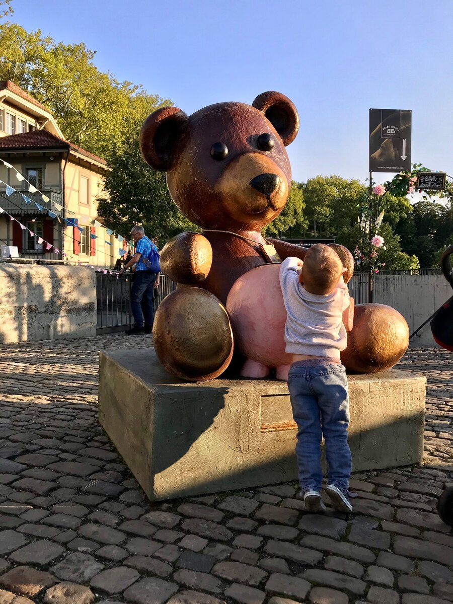 медведь спит. почему мидведзимойю спит. белый медведь презентация. почему медведь спит зимой. гдежевет белый медведь.