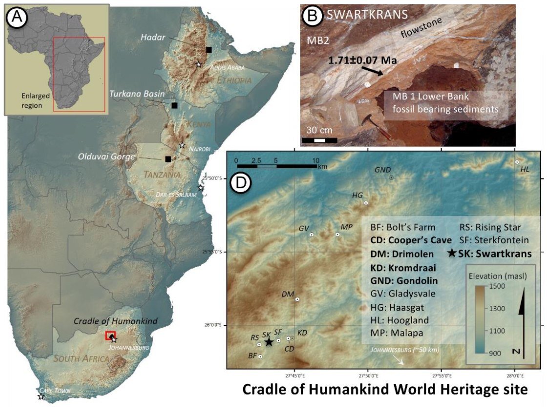   Palesa P. Madupe et al. / biorXiv, 2023