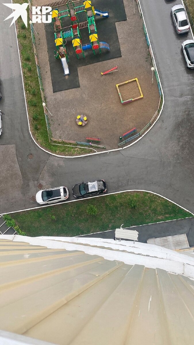    Кот вылетел с высоты 23 этажа. Фото: предоставлено очевидцами.