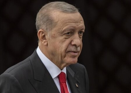    Эрдоган выдвинул условие для членства Швеции в НАТО