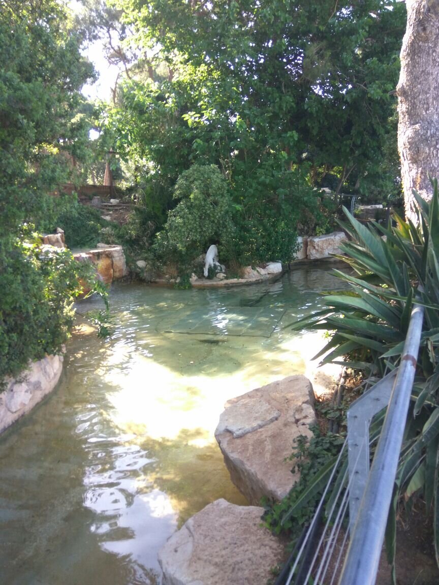 Гора Кармель