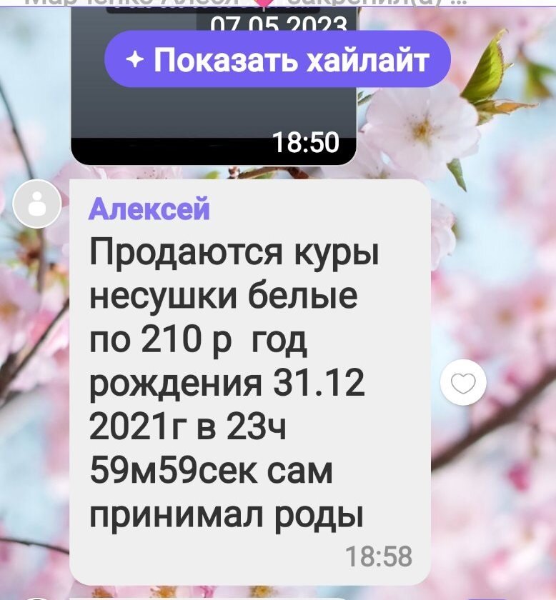 Скриншот объявления 