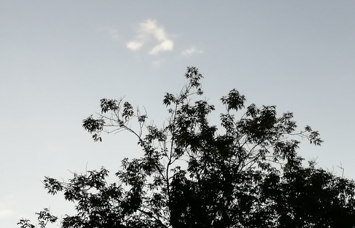 Навеяло мысли о прошлом