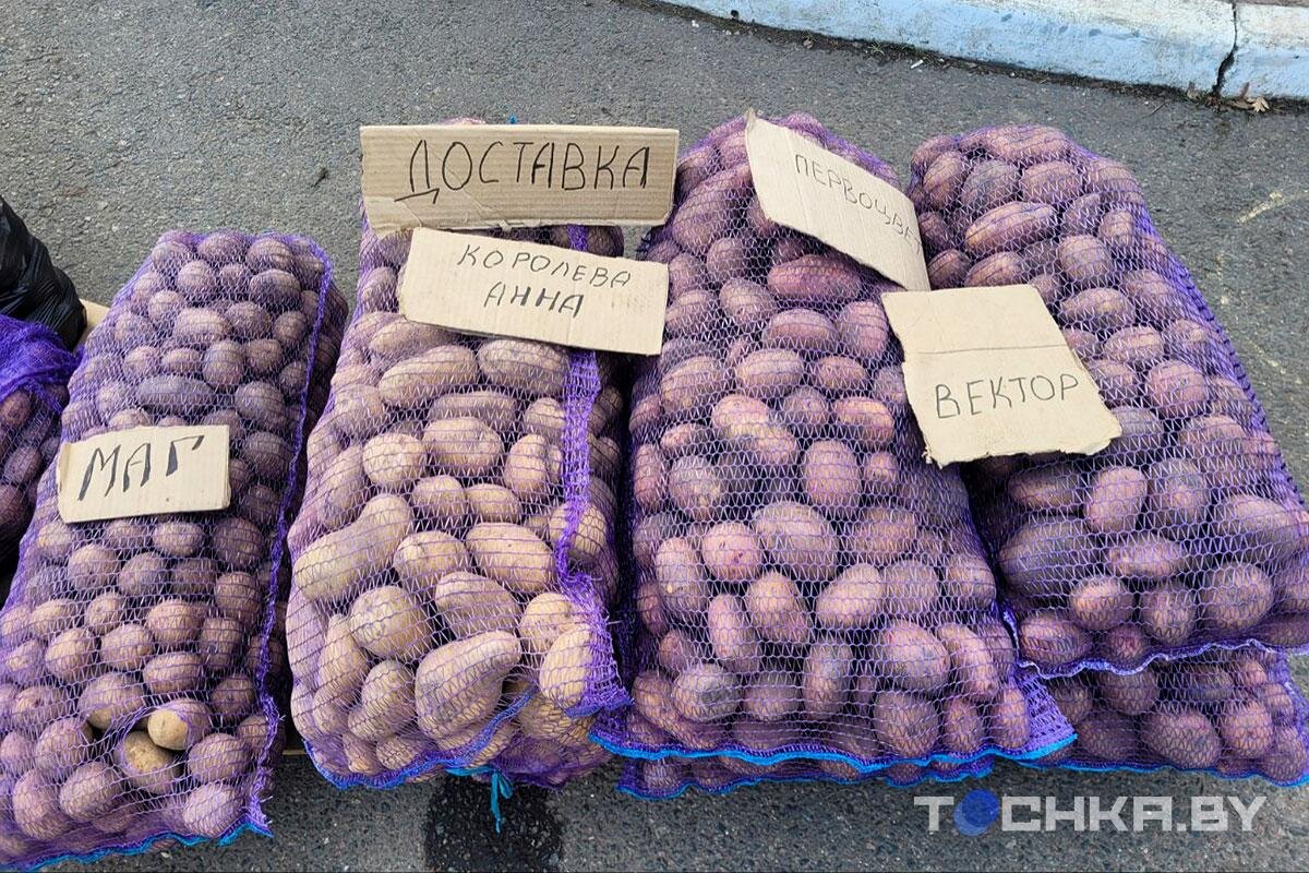    Фото: Tochka.by