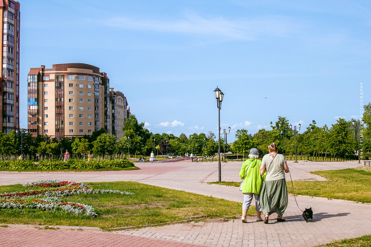 Что посмотреть в Ломоносове, кроме парка? 11 достопримечательностей  Ораниенбаума | Di_travel | Дзен