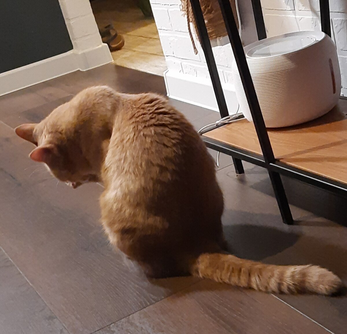 Вот он, этот фонтан, коварной наружности((