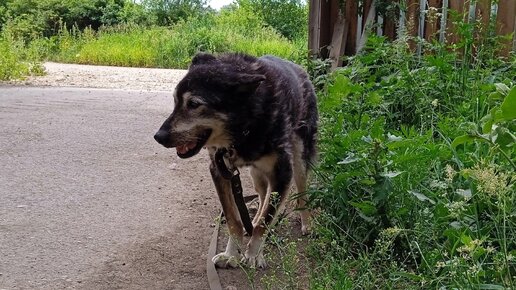 Синьор Антонио, он же Тоша, он же наш 20ти летний аксакал скромный и тихий. Но может устроить бунт на корабле, чтобы добиться желаемого