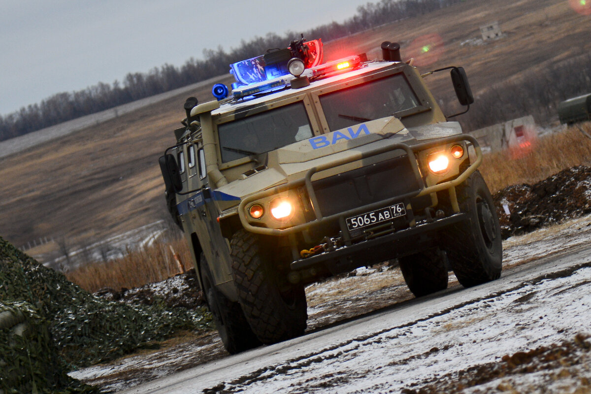 Фото из открытых источников.