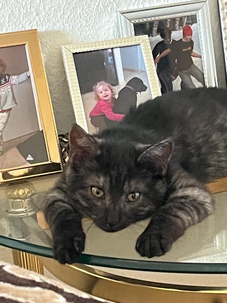 Этому красавчику позвонили только один раз. Обещали приехать на смотрины и не приехали