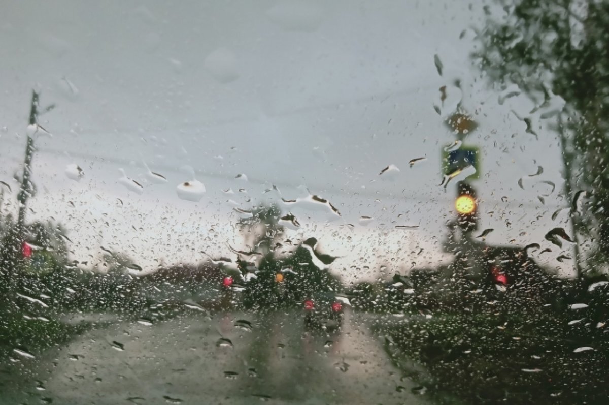    Третья рабочая неделя июля закончится для воронежцев грозами и ветром