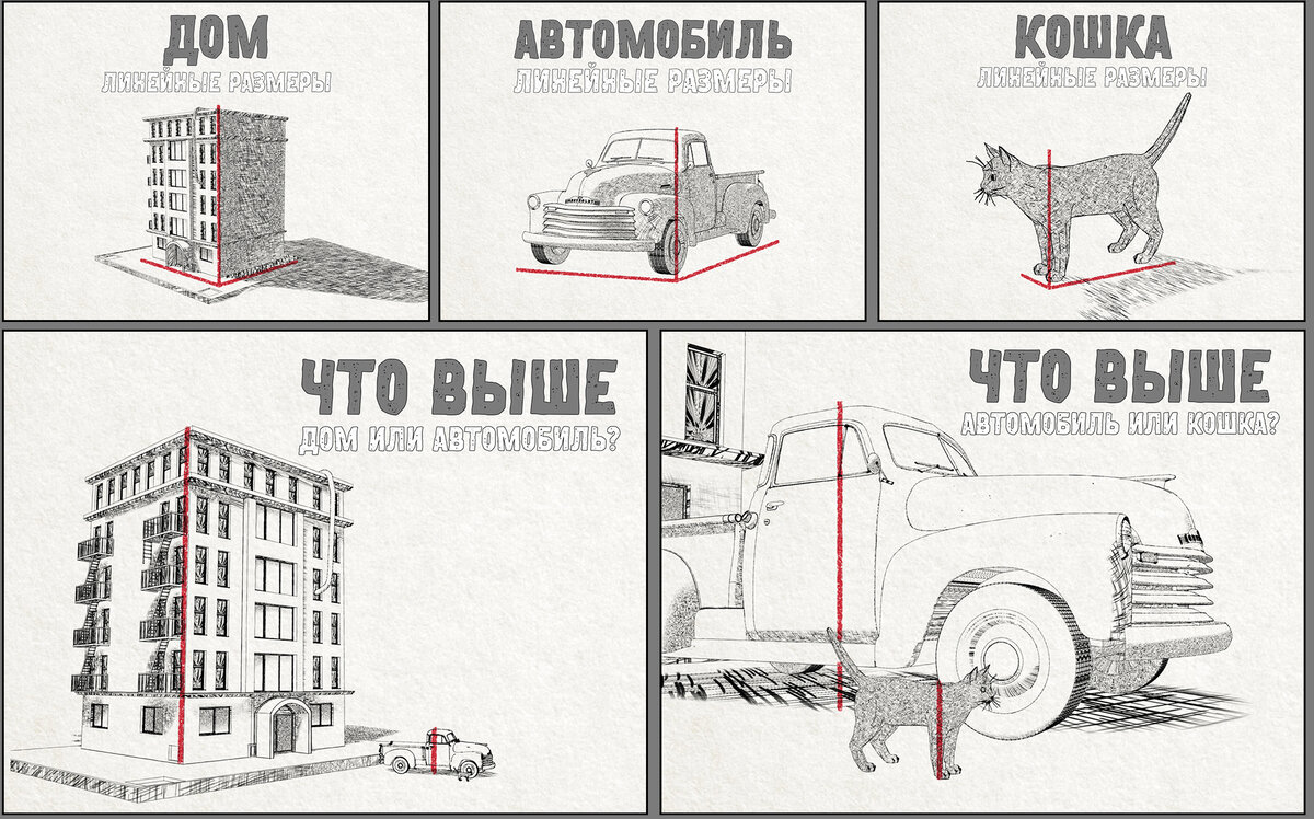 «База данных» линейных размеров.Что выше - дом, автомобиль или кошка?