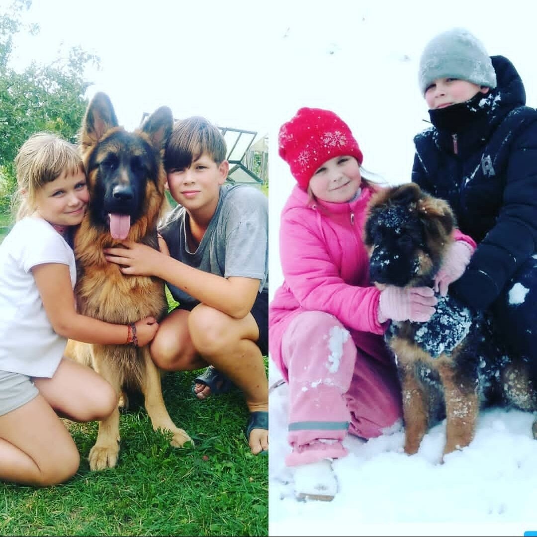 Разница в полгода )