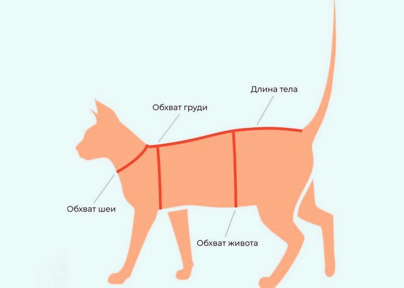 Как сделать кофту сфинксу из рукава своими руками?