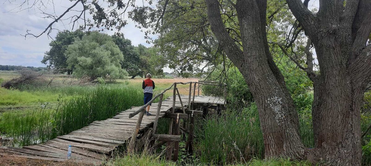 Фотография того самого мостика с юным биологом. 