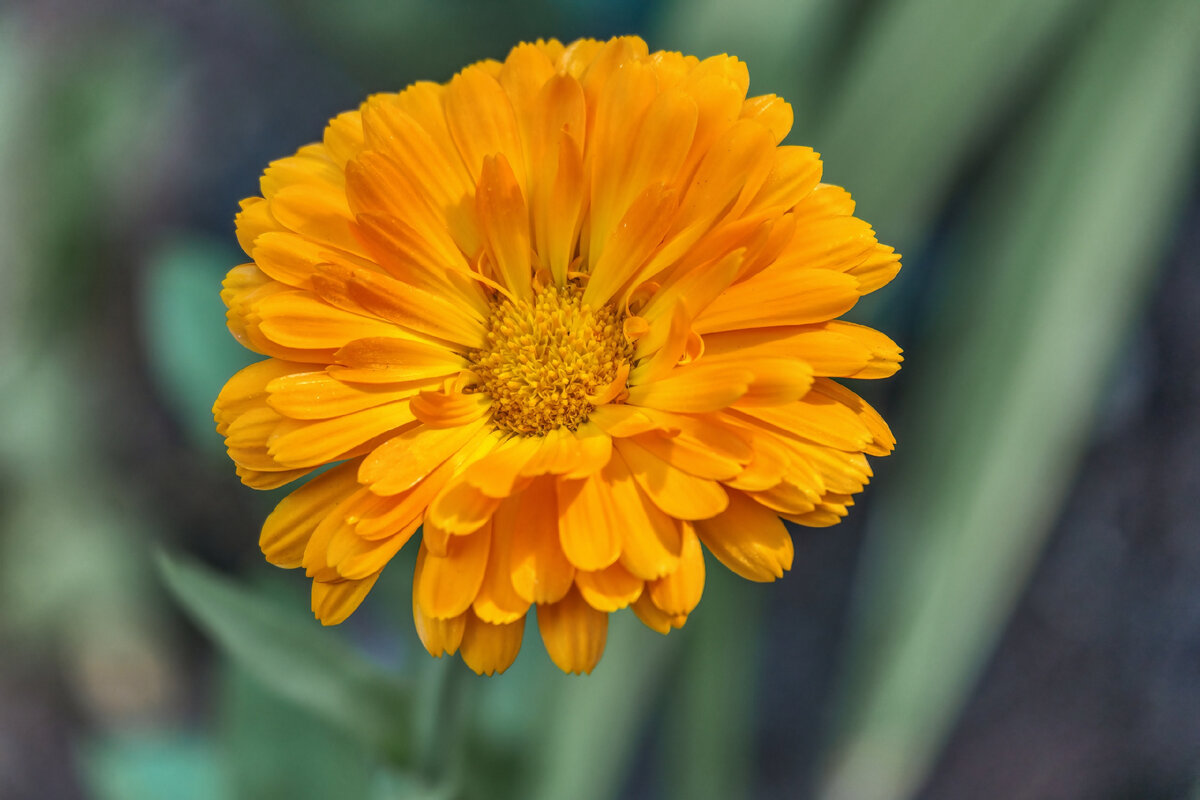 Фото Александра Дроздова