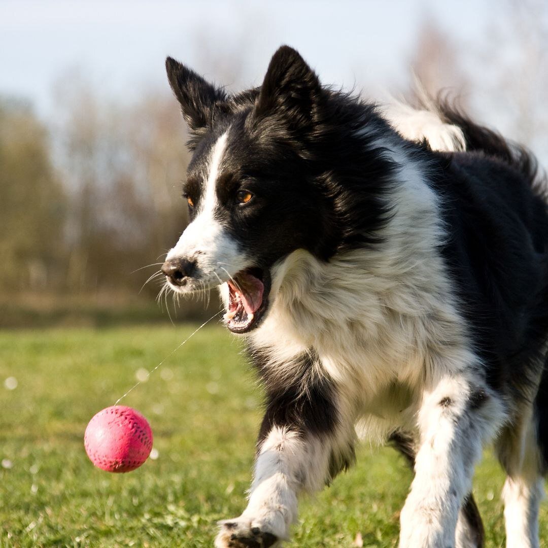 Я тебя сейчас поймаю